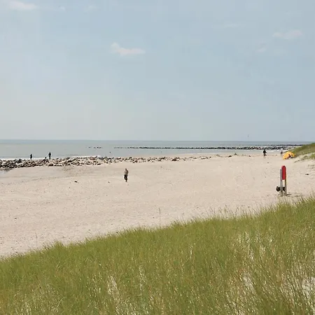 Svinget Iii ブラーバンド